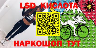 крисы Берёзовский