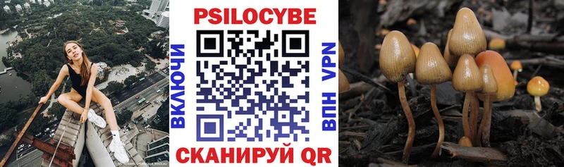 Псилоцибиновые грибы MAGIC MUSHROOMS  купить   Карабулак 