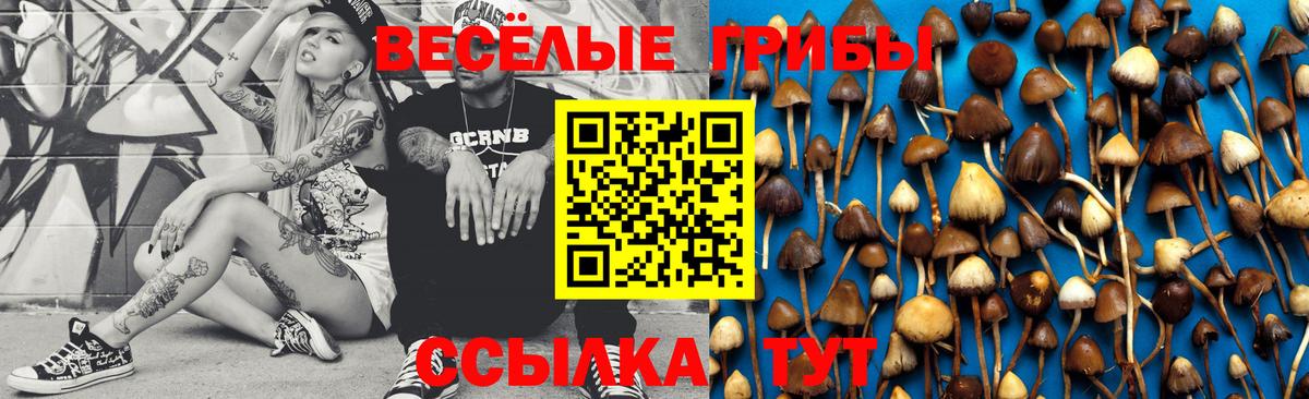 Карабулак  Галлюциногенные грибы ЛСД  Вход с VPN 